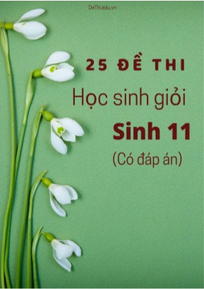Bộ 25 Đề thi học sinh giỏi Sinh 11 (Có đáp án)